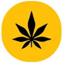 Goldencbd Coupon Codes
